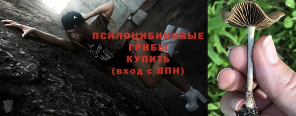 2c-b Армянск