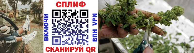 Каннабис индика  Полярный 